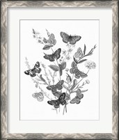 Framed Butterfly Bouquet I Linen BW I