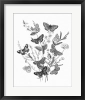 Framed Butterfly Bouquet I Linen BW I