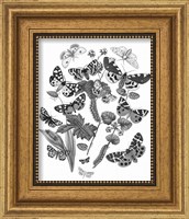 Framed 'Butterfly Bouquet IV Linen BW IV' border=