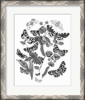 Framed Butterfly Bouquet IV Linen BW IV