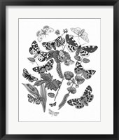 Framed 'Butterfly Bouquet IV Linen BW IV' border=