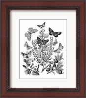 Framed Butterfly Bouquet II Linen BW II