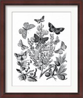 Framed Butterfly Bouquet II Linen BW II