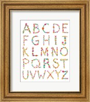 Framed Floral Alphabet