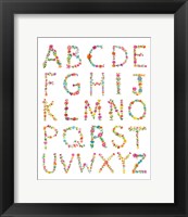 Framed Floral Alphabet