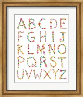 Framed Floral Alphabet