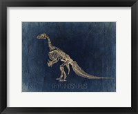 Framed Dino Bones 3
