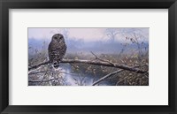 Framed Autumn Mist - Barred Owl