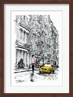 Framed Fire Escapes Study
