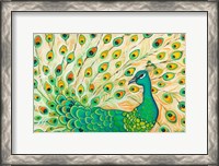 Framed Pretty Pretty Peacock
