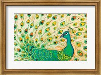 Framed Pretty Pretty Peacock