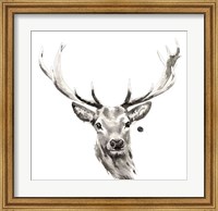 Framed Elk