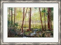 Framed Forest Edge