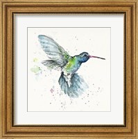 Framed Hummingbird Flurry