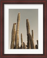 Framed Desert Cacti