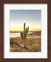 Framed Desert Cactus Sunset