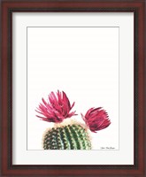 Framed Flowered Cactus