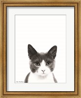 Framed Watercolor Cat