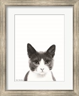 Framed Watercolor Cat