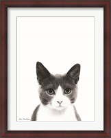 Framed Watercolor Cat