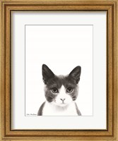 Framed Watercolor Cat