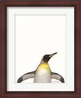 Framed Emperor Penguin