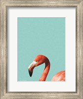 Framed Blue Flamingo
