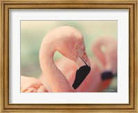 Framed Pink Flamingo