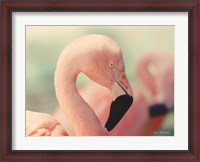 Framed Pink Flamingo