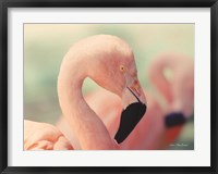 Framed Pink Flamingo