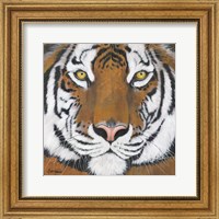 Framed Tiger Gaze