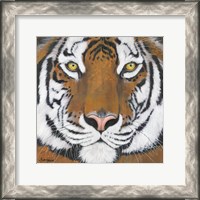 Framed Tiger Gaze