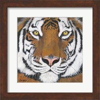 Framed Tiger Gaze