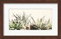 Framed Soft Succulents II