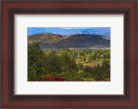 Framed Red flowers and Farmland in the Mountain, Konso, Ethiopia