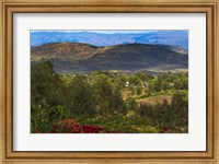 Framed Red flowers and Farmland in the Mountain, Konso, Ethiopia