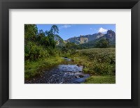 Framed Harenna Escarpment Bale Mountains National Park Ethiopia
