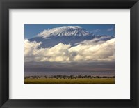 Framed Amboseli National Park, Kenya