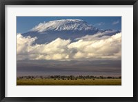 Framed Amboseli National Park, Kenya