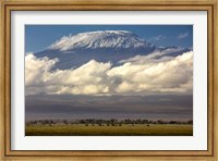 Framed Amboseli National Park, Kenya