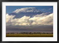 Framed Amboseli National Park, Kenya