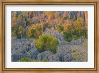 Framed Limestone Formations, Tsingy de Bemaraha Strict Nature Reserve, Madagascar