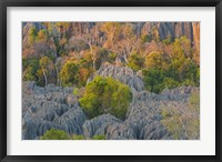 Framed Limestone Formations, Tsingy de Bemaraha Strict Nature Reserve, Madagascar