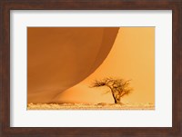 Framed Namib-Naukluft National Park, Namibia