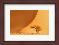 Framed Namib-Naukluft National Park, Namibia
