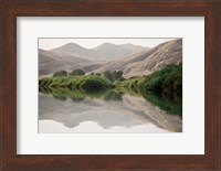 Framed Greenery Along the Banks of the Kunene River, Namibia