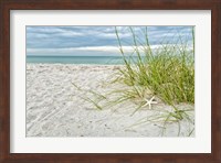 Framed Star Fish and Sea Oats