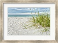 Framed Star Fish and Sea Oats