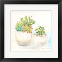 Sweet Succulent Pots I Framed Print