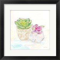 Sweet Succulent Pots III Framed Print